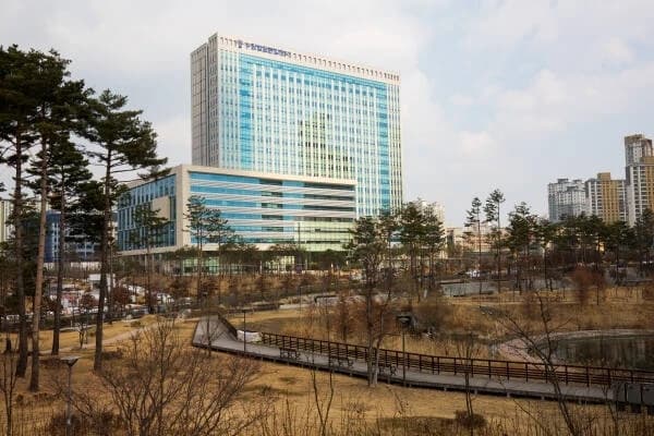 번화가 도로 검은 옷 입고 누워있던 보행자…치고 간 운전자, 결국 ‘무죄’